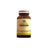 Solgar Evening Primrose Oil 500 mg 30 Softjel