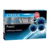 Cistus Antivirüs 10 Pastil Mavi