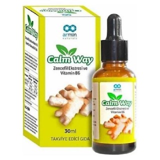 Armin Calm Way Zencefil Vitamin B6 Damla 30 ml